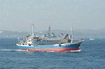 Dcim0545/DSC_4935