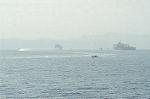 Dcim0545/DSC_5062