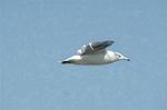 Dcim0547/Dsc_5228