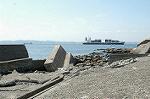 Dcim0547/Dsc_5356