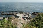 Dcim0547/Dsc_5371