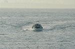Dcim0549/Dsc_5563