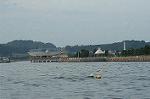 Dcim0549/Dsc_5659