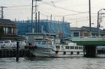 Dcim0549/Dsc_5668