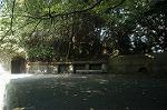 Dcim0553/Dsc_6142