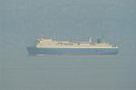 Dcim0553/Dsc_6226