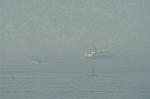 Dcim0554/Dsc_6311