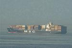 Dcim0555/Dsc_6444