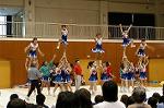 Dcim0563/Dsc_7493