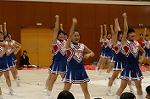 Dcim0564/Dsc_7623