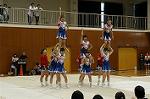 Dcim0564/Dsc_7735