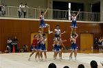 Dcim0564/Dsc_7736