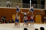 Dcim0564/Dsc_7737