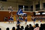 Dcim0565/Dsc_7743