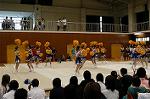 Dcim0565/Dsc_7753