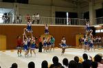 Dcim0565/Dsc_7781