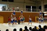 Dcim0565/Dsc_7782