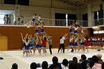 Dcim0565/Dsc_7799
