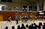 Dcim0565/Dsc_7840