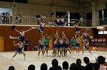 Dcim0565/Dsc_7842