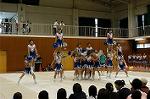 Dcim0565/Dsc_7846