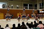 Dcim0565/Dsc_7850