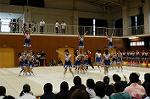 Dcim0565/Dsc_7852