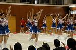 Dcim0566/Dsc_7910