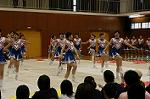 Dcim0566/Dsc_7918