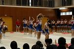 Dcim0566/Dsc_7919