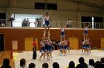 Dcim0566/Dsc_7924