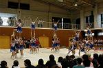 Dcim0566/Dsc_7927