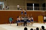 Dcim0566/Dsc_7939