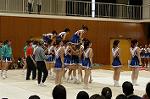 Dcim0566/Dsc_7954