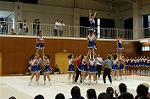 Dcim0566/Dsc_7982