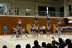 Dcim0566/Dsc_7987