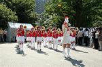 Dcim0567/Dsc_8095