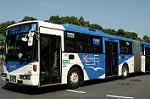 Dcim0567/Dsc_8197