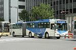 Dcim0568/Dsc_8310