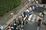 Dcim0574/Dsc_9105