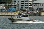 Dcim0582/DSC_0081