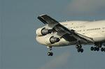 Dcim0599/Dsc_2565