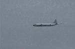 Dcim0619/DSC_5347