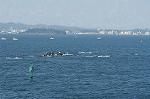 Dcim0635/Dsc_7792