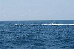 Dcim0637/Dsc_8178