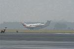 Dcim0643/Dsc_8877