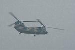 Dcim0644/Dsc_9032