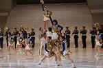 Dcim0669/Dsc_2629