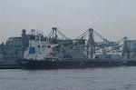 Dcim0678/DSC_3891