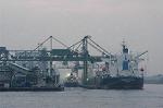 Dcim0678/DSC_3901